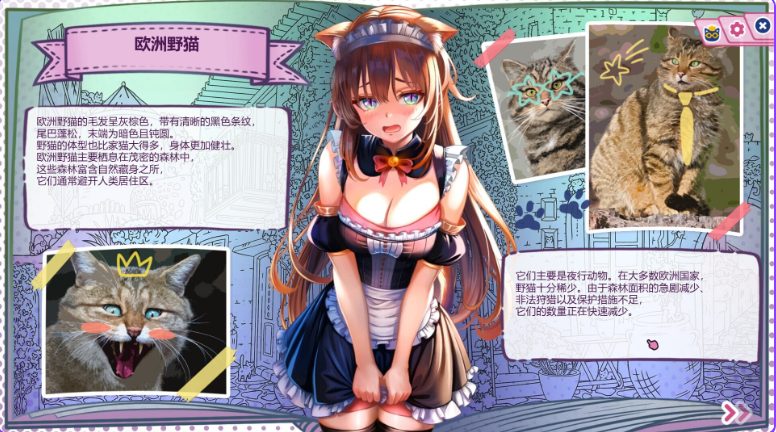 【PC/官中/日式/SLG游戏/2.70G】 猫娘百科：寻找她的小尾巴 （Nekopedia: Find Her Tail） 官中步兵版+存档+日式SLG游戏+2.70G